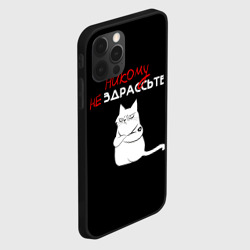 Чехол для iPhone 12 Pro Неприветливый кот - фото 2