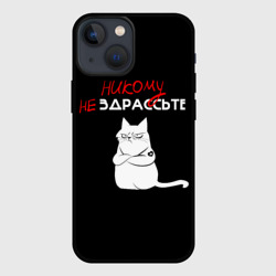 Чехол для iPhone 13 mini Неприветливый кот
