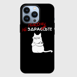 Чехол для iPhone 13 Pro Неприветливый кот