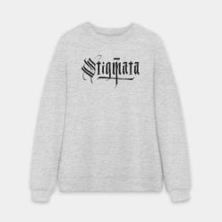 Мужской свитшот oversize без начеса хлопок Stigmata логотип