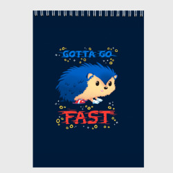 Скетчбук Little Sonic gotta go fast