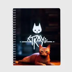 Тетрадь Stray бродячий кот