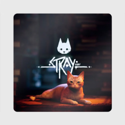 Магнит виниловый Квадрат Stray бродячий кот