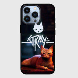 Чехол для iPhone 13 Pro Stray бродячий кот