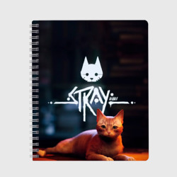 Тетрадь Stray бродячий кот