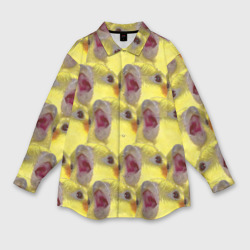 Мужская рубашка oversize 3D Попугай Корелла Орёт Мем