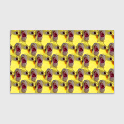 Бумага для упаковки 3D Попугай Корелла Орёт Мем