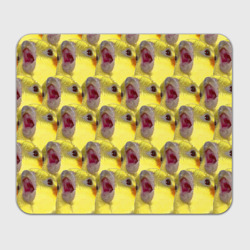 Прямоугольный коврик для мышки Попугай Корелла Орёт Мем