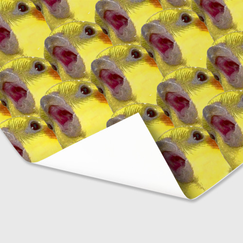 Бумага для упаковки 3D Попугай Корелла Орёт Мем - фото 3