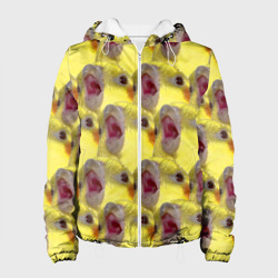 Женская куртка 3D Попугай Корелла Орёт Мем