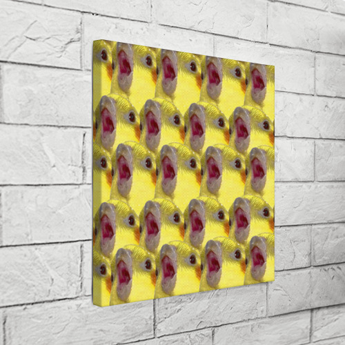 Холст квадратный Попугай Корелла Орёт Мем, цвет 3D печать - фото 3
