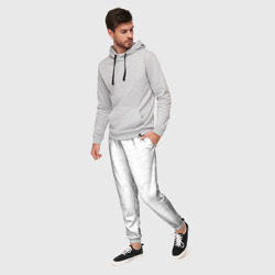 Мужские брюки 3D Белые чайкив полете - фото 2