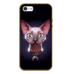 Чехол для iPhone 5/5S матовый Кошка канадский сфинкс