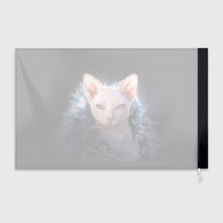 Флаг 3D Кошка сфинкс - фото 2