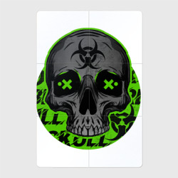 Магнитный плакат 2Х3 Skull toxic