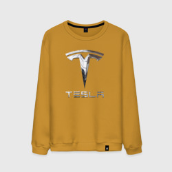 Мужской свитшот хлопок Tesla Logo Тесла Логотип