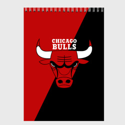 Скетчбук Chicago Bulls NBA