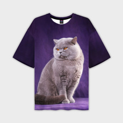 Мужская футболка oversize 3D Британская кошка