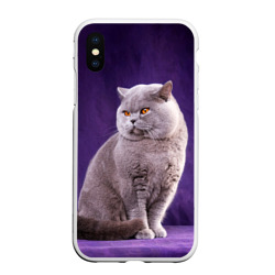 Чехол для iPhone XS Max матовый Британская кошка