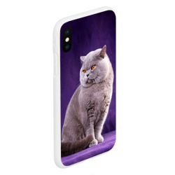 Чехол для iPhone XS Max матовый Британская кошка - фото 2