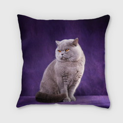 Подушка 3D Британская кошка