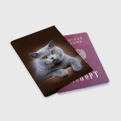 Обложка для паспорта матовая кожа Британский кот - фото 2