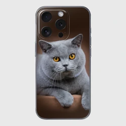 Чехол для iPhone 15 Pro силиконовый с защитой камеры Британский кот