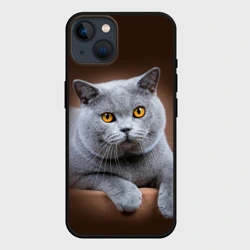Чехол для iPhone 14 Британский кот