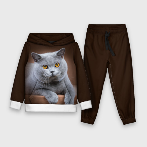 British cat sweatpants clearance
