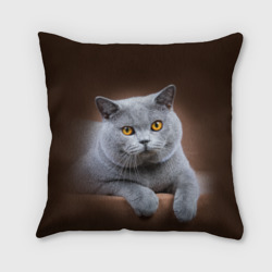 Подушка 3D Британский кот