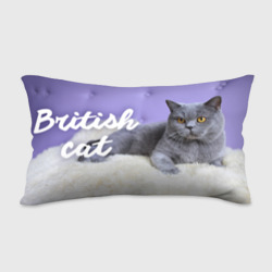 Подушка с принтом Британец няшный кот для любого человека, вид сзади №1. Цвет основы: белый
