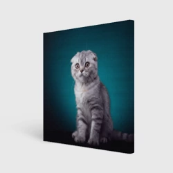 Холст квадратный Британская вислоухая кошка