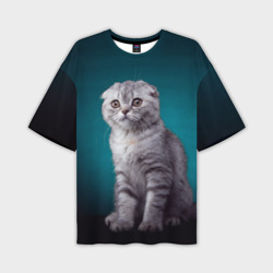 Мужская футболка oversize 3D Британская вислоухая кошка