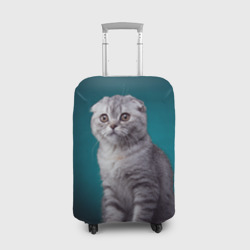 Чехол для чемодана 3D Британская вислоухая кошка