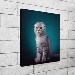 Холст квадратный Британская вислоухая кошка - фото 2