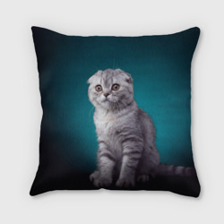 Подушка 3D Британская вислоухая кошка