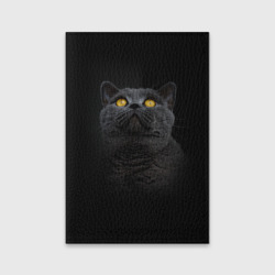 Обложка для паспорта матовая кожа Черный кот британец