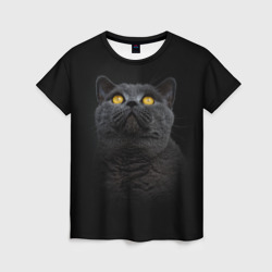 Женская футболка 3D Черный кот британец