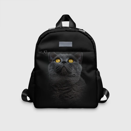 Детский рюкзак 3D Черный кот британец