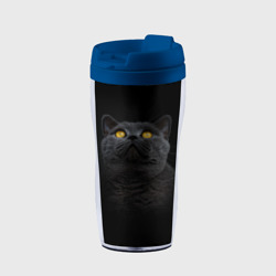 Термокружка-непроливайка Черный кот британец