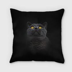 Подушка 3D Черный кот британец