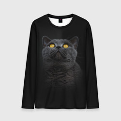Мужской лонгслив 3D Черный кот британец