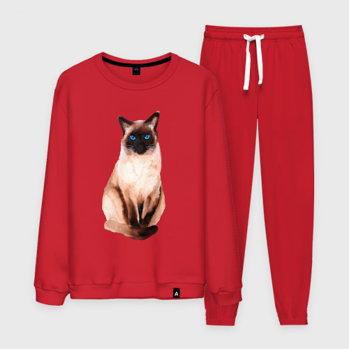 Мужской костюм хлопок Сиамская кошка акварелью, цвет красный