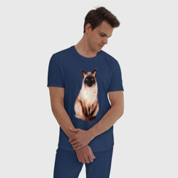 Мужская пижама хлопок Сиамская кошка акварелью - фото 2