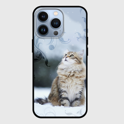 Чехол для iPhone 13 Pro Сибирская кошка смотрит наверх, цвет черный