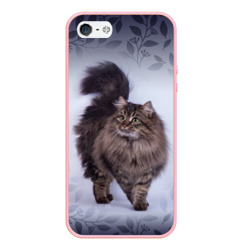 Чехол для iPhone 5/5S матовый Красивый сибирский котик