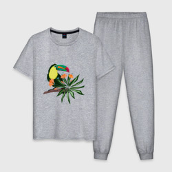 Мужская пижама хлопок Птица тукан с цветами и листьями