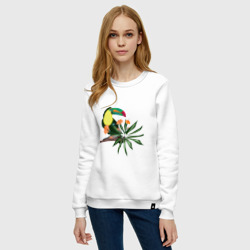 Женский свитшот хлопок Птица тукан с цветами и листьями - фото 2