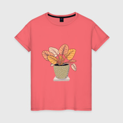 Комнатный цветочек – Женская футболка хлопок с принтом купить со скидкой в -20%