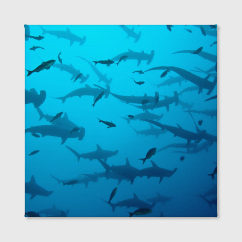 Холст квадратный Акулы - океан, цвет 3D печать - фото 2